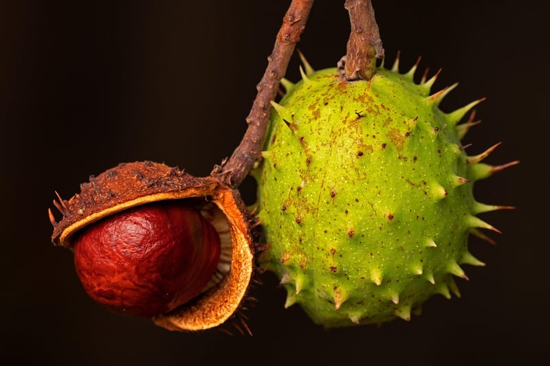 Unique Produce